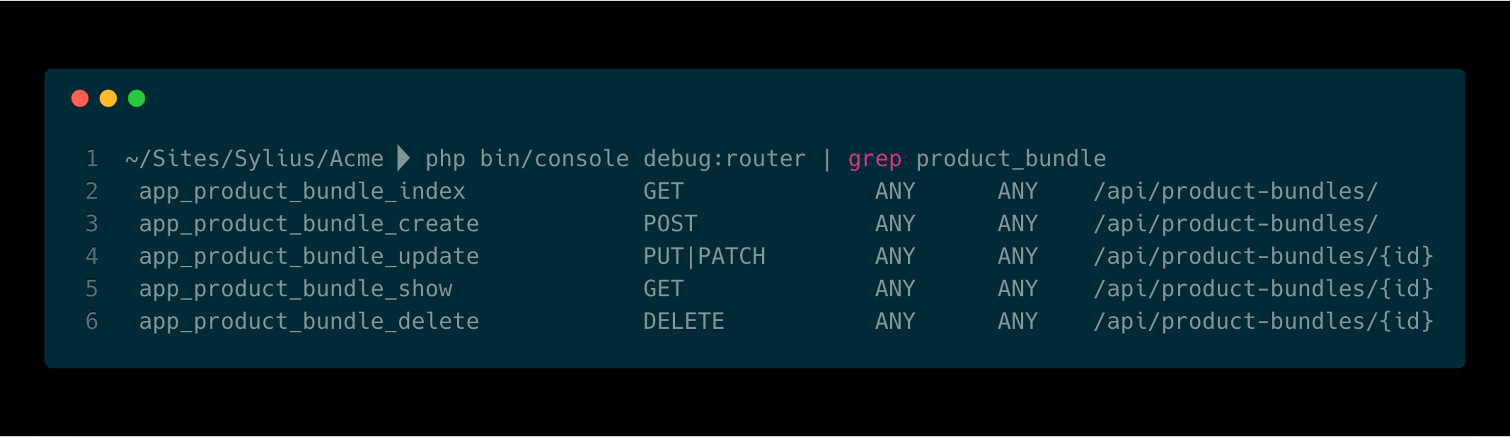 debug router output